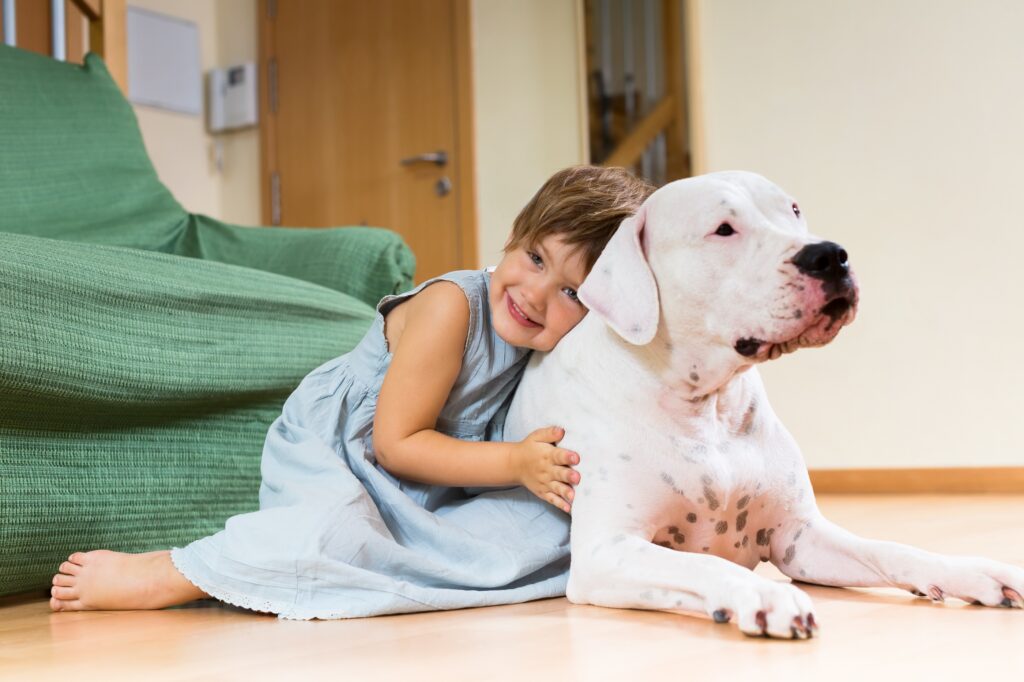 4 συμβουλές για την ευτυχισμένη συμβίωση με ένα μεγαλόσωμο σκύλο σε μικρό σπίτι
