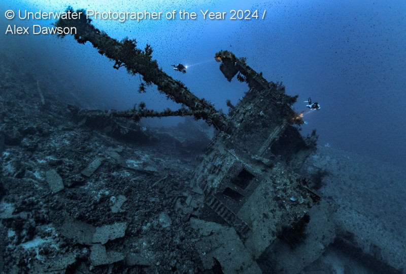 Η μαγεία των υποβρύχιων φωτογραφιών για το 2024 - Καταπληκτικές εικόνες κάτω από την επιφάνεια της θάλασσας (βίντεο-φωτογραφίες)
