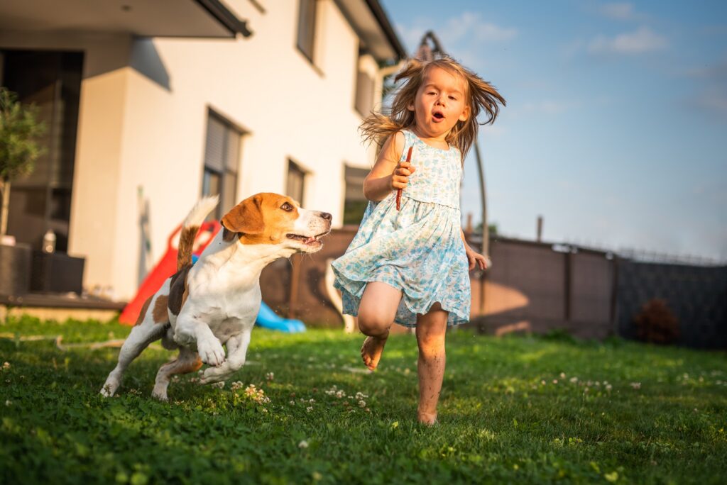 Πώς να διαχειριστείτε τον σκύλο σας όταν κυνηγάει τα παιδιά: Συμβουλές για μια ασφαλή και φιλική σχέση 
